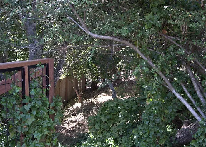 1801 Downing Ave.